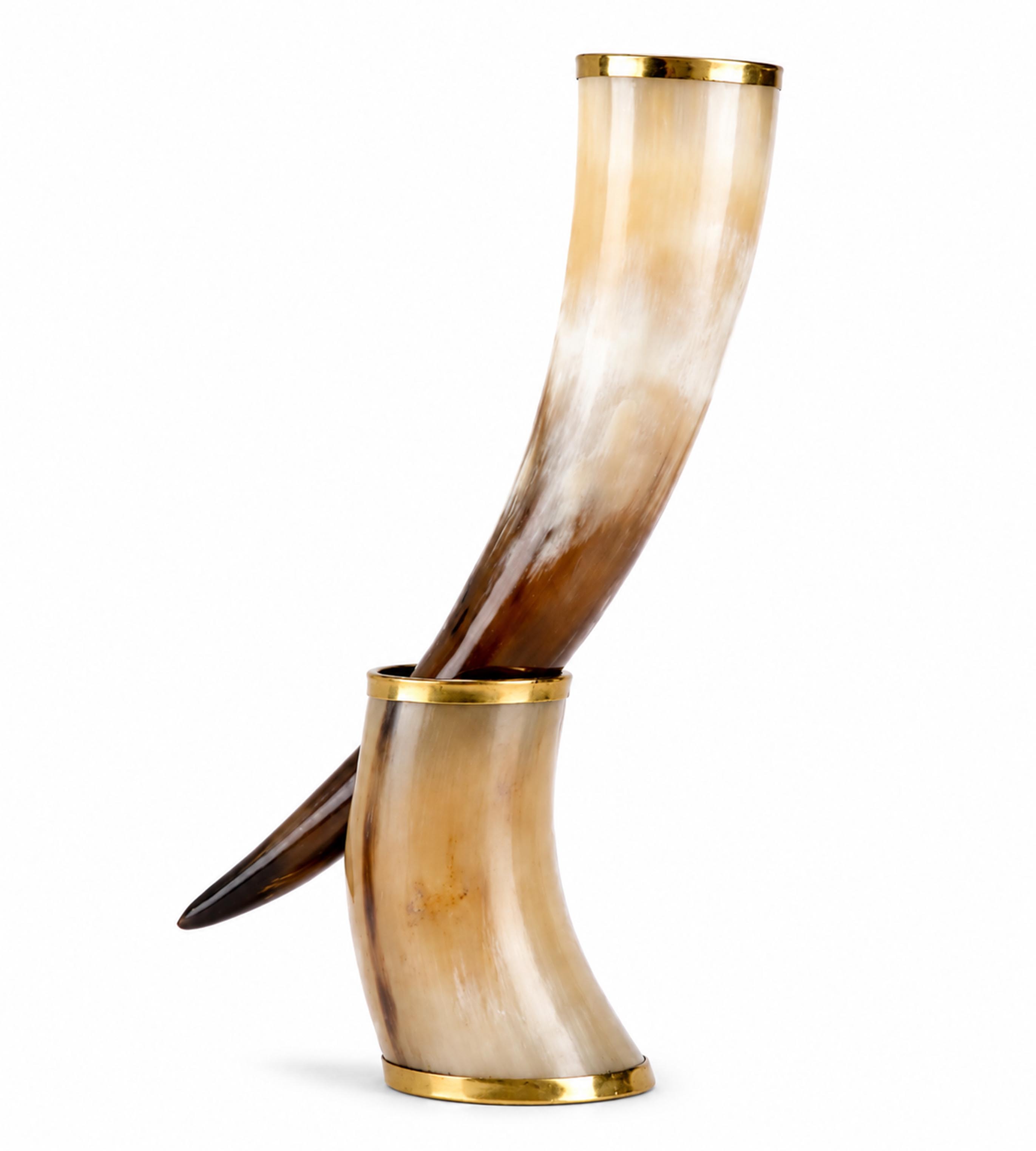 Buffalo Horn Drinking Horn with Brass Rim